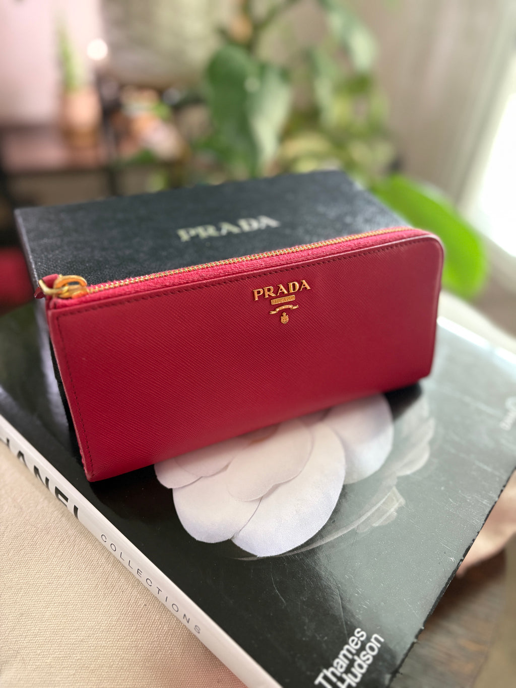 Prada Saffiano Zip Wallet in Burgundy with Gold Hardware
